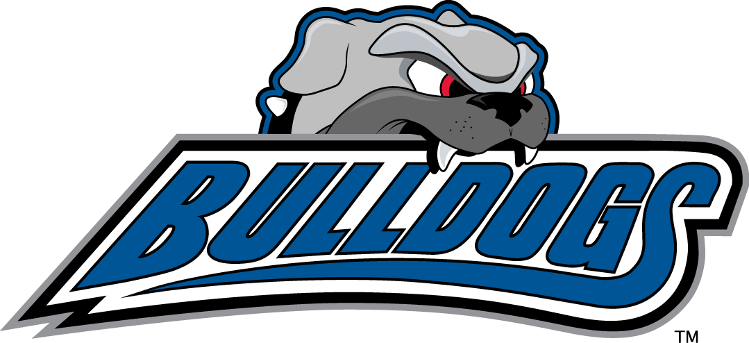 North Carolina Asheville Bulldogs 1998-Pres Alternate Logo v2 iron on transfers for T-shirts